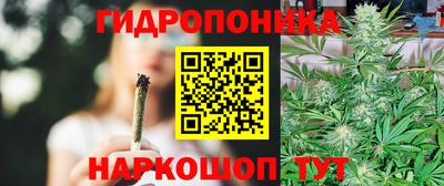 СК Севастополь