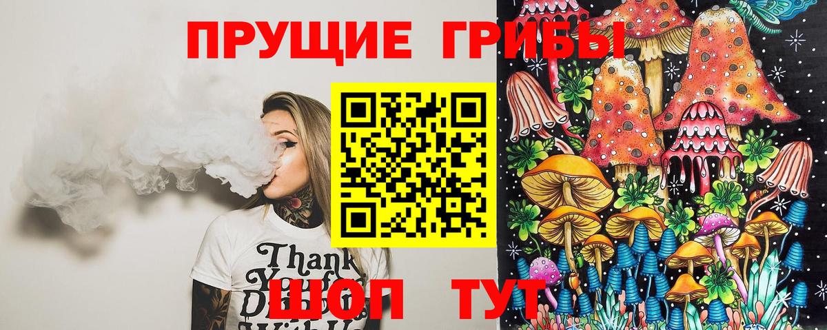 Псилоцибиновые грибы мицелий Печора