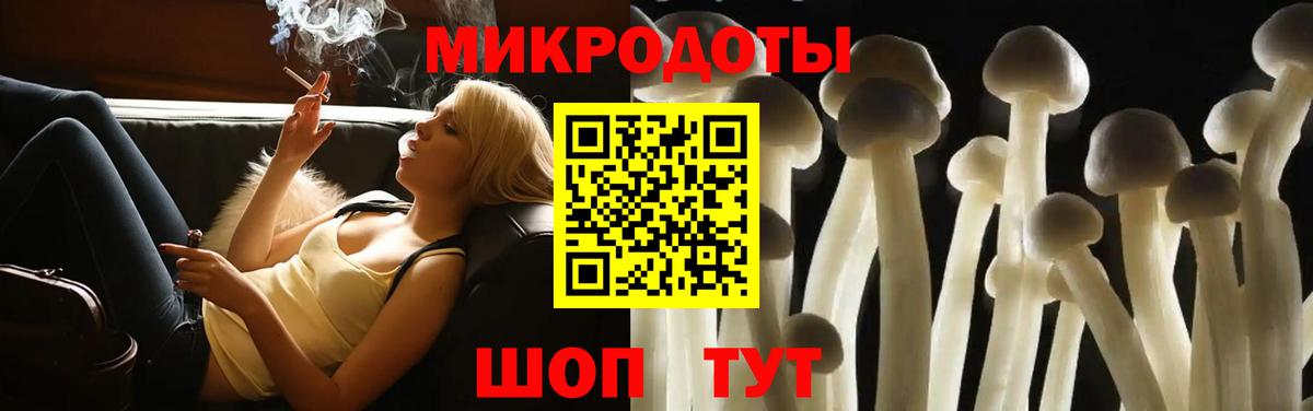 Печора  Псилоцибиновые грибы мицелий  Вход с VPN 